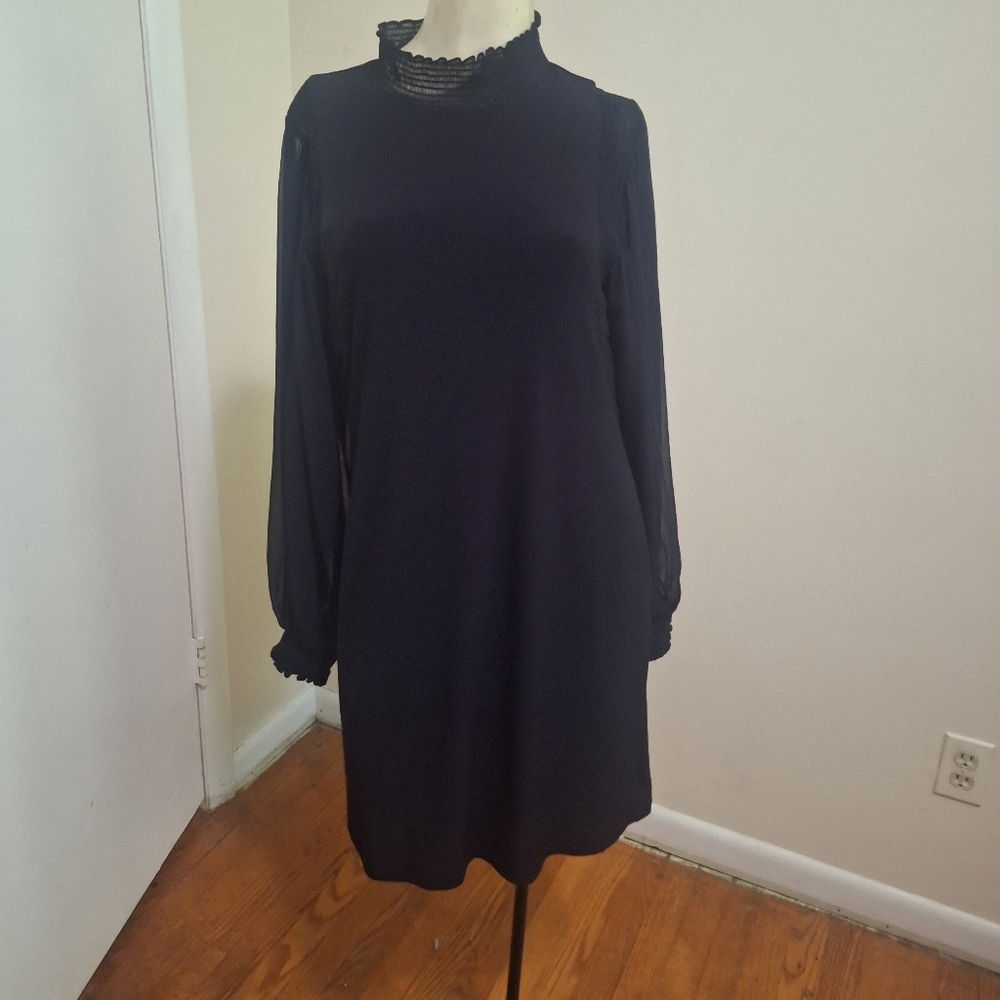 White House Black Market Black Bishop Sleeve Dress